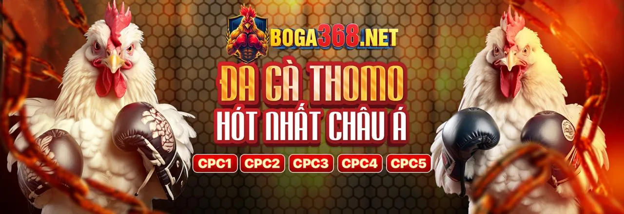 Đá gà trực tuyến 88k